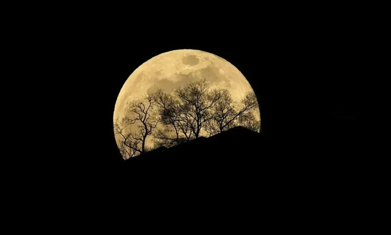 Supermoon Wolf 3 Januari: Bulan Terbesar 2026 Malam Ini