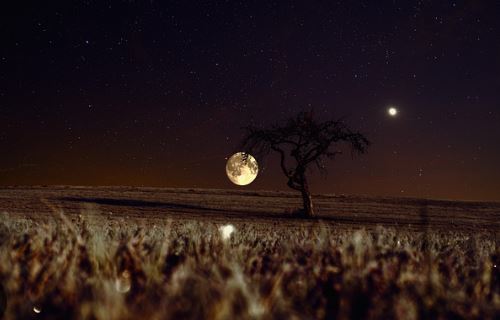 Fenomena Bulan Menjauh dari Bumi, Proses Kosmik yang Mengubah Masa Depan Manusia